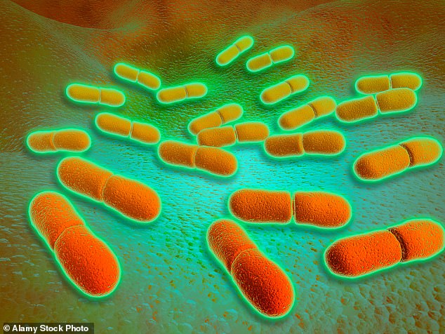 Those who eat foods containing Listeria monocytogenes may develop an infection called listeriosis, which can cause fever, aches, chills, nausea, illness and diarrhea.