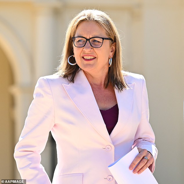 Victorian Premier Jacinta Allan (pictured) was unaware of a new land tax introduced to tax landowners who leave vacant land undeveloped