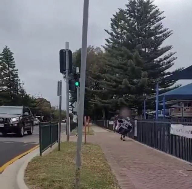 A man was seen removing No campaign posters (pictured) outside an Adelaide primary school just hours before voting closed for the Voice referendum