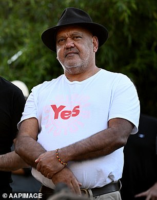 Ms Caro's comments were in response to criticism of the speech by prominent Yes campaigner Noel Pearon (pictured with Anthony Albanese)