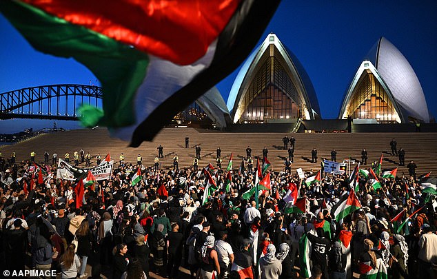 A crowd of about 1,000, including women and children, gathered at the Opera House waving Arab flags and chanting obscenities