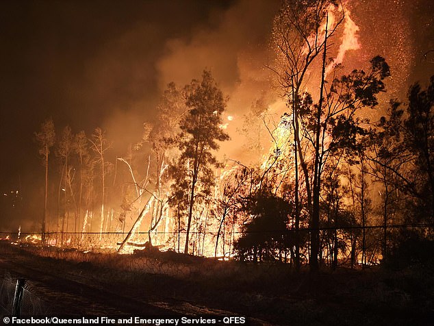 A body was discovered in Tara amid horrific bushfires (pictured, Millmerran in the Western Downs)