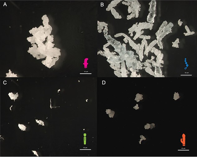 Sex toy microplastic under the microscope.  A - anal toy, B - beads, C - external vibrator, D - double vibrator