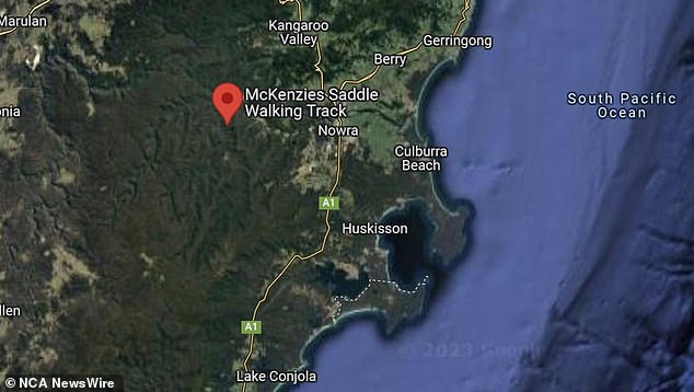 A woman has died after falling 50 meters from a popular lookout on the NSW south coast