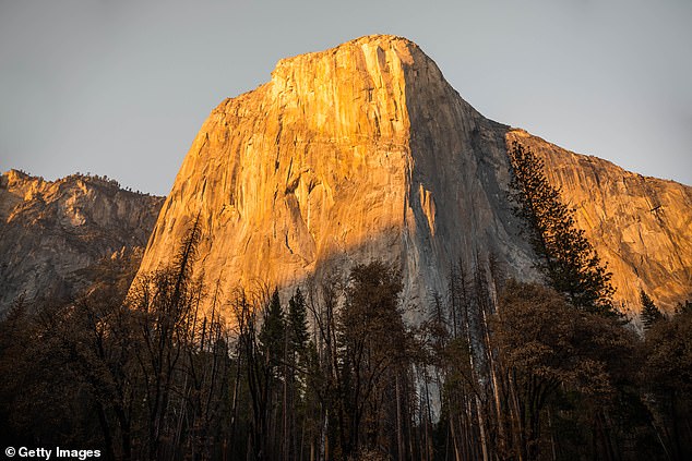 A mountaineer has broken the record for climbing Yosemite's El Capitan, scaling the bluff in just four hours and 39 minutes