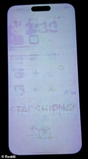 On this user's phone, the outlines of the home screen icons can be clearly seen when viewing a plain grayscale image.