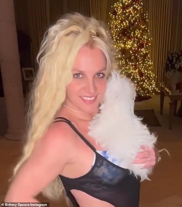 Fluffy accessory: Britney cradled one of her five dogs – a Maltese named Lacey Loo – on her bikini-clad chest in the clip set to J Balvin and Willy William's 2017 song Mi Gente