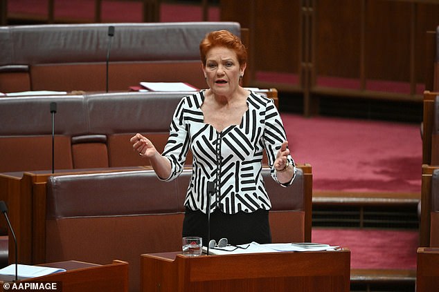 One Nation MP Pauline Hanson has warned the country is at risk if Benbrika is ever released from prison and allowed to remain in Australia