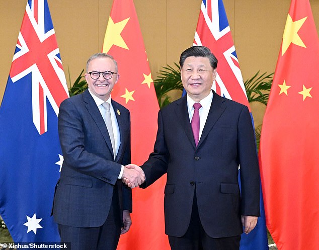 Anthony Albanese (left) has been urged to raise Dr Yang's imprisonment during his meeting with Chinese President Xi Jinping (right).  Pictured are the two leaders at a meeting in 2022