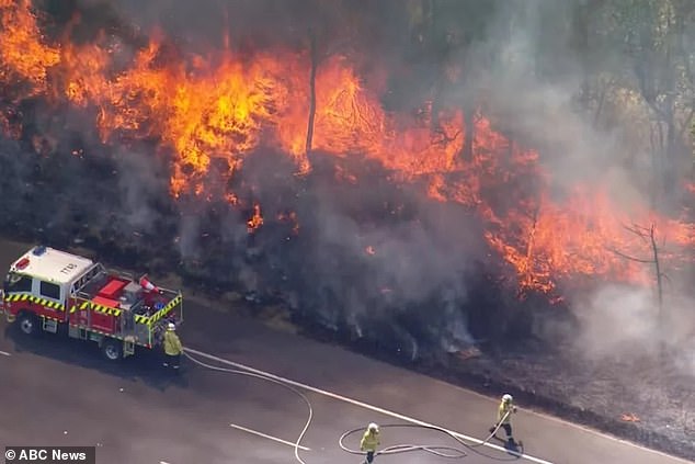 A spokesperson for the national fire brigade said 60 firefighters with 15 trucks were fighting the blaze.