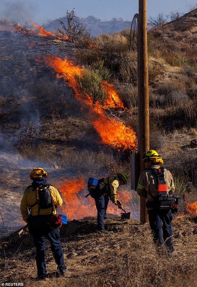 Winds were forecast to ease overnight, giving firefighters a chance to get the fire under control