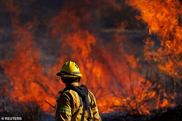 Mindy Ellison, a lifelong resident of Aguanga, said high winds blew burning coals onto the hillside near her home and started a fire close to her