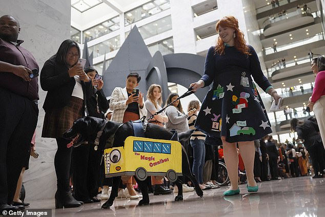 This dog dressed up as the Magic School Bus, while his owner dressed up as Mrs. Valerie Frizzle from the cartoon