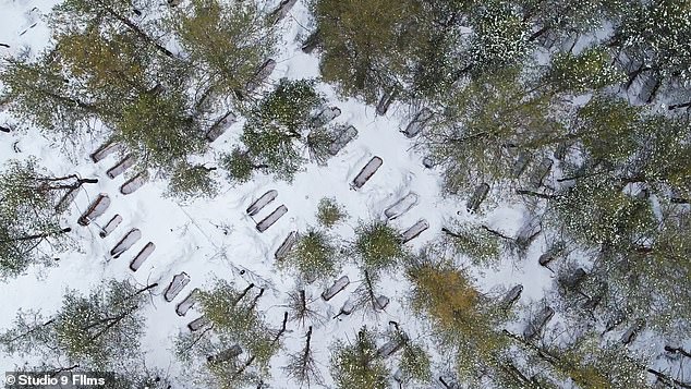 451 bodies were buried in a forest near Izium, northeastern Ukraine, after Russian troops occupied the region