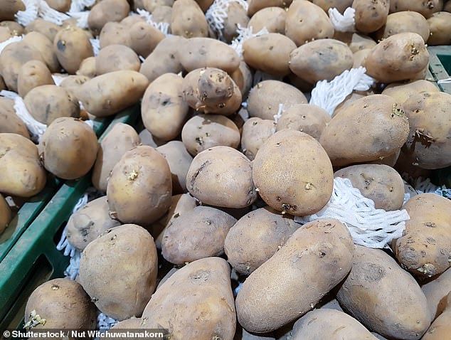 Russet potatoes, most of which come from Idaho and Washington, cost $1.17 per pound in September, according to the Wells Fargo Agri-Food Institute