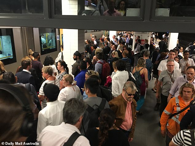 In the year to August, 413,530 permanent and long-term migrants arrived in Australia.  This influx, including skilled migrants and international students, looks set to exceed the Treasury's 2023-2024 forecast of 315,000 made in the May budget (pictured is Sydney's Wynyard train station)
