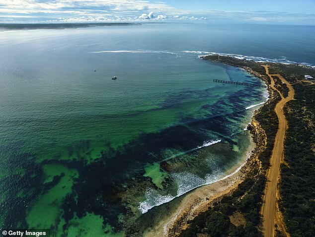 Despite no South African suburbs appearing in the top 10 of the census, Lonely Planet recently named Kangaroo Island (pictured) as the second best regional location in the world