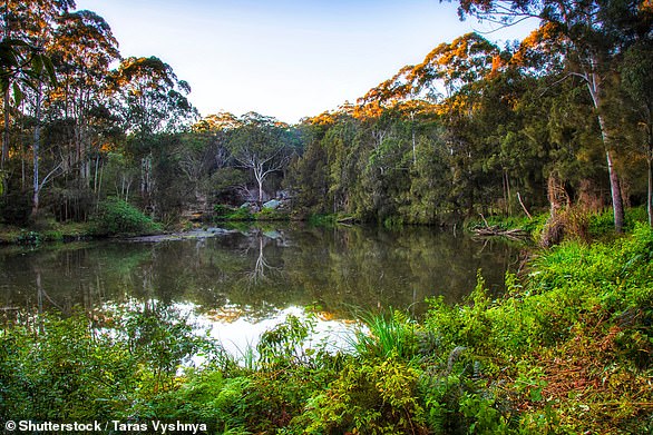 2. Lane Cove, New South Wales