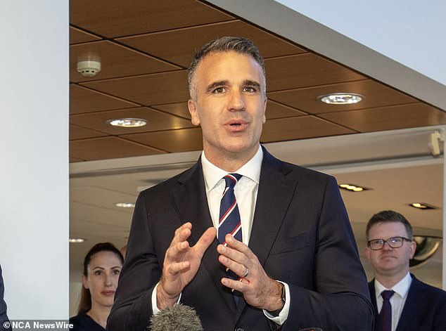 Prime Minister Peter Malinauskas has ruled out a change to waste collection services, but the decision would be up to councils unless laws are introduced to protect them.