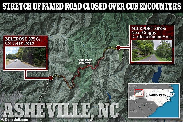 The parkway in the Ashville area will be closed between milepost 367.6 near the Craggy Picnic Area and milepost 375.6 at Ox Creek Road in an effort to protect the cub and park visitors