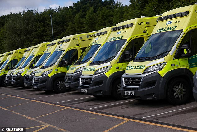 Law firm FBC Manby Bowdler, who are representing the Smith family, said they were concerned that paramedics from the West Midlands Ambulance Service misinterpreted Lauren's ECG readings and told her she was fine rather than taking her to hospital to take.  (File image)