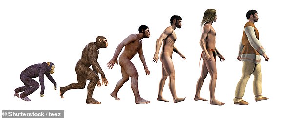 The church and some of the press criticized Darwin as people were shaken by the idea that humans descended from apes