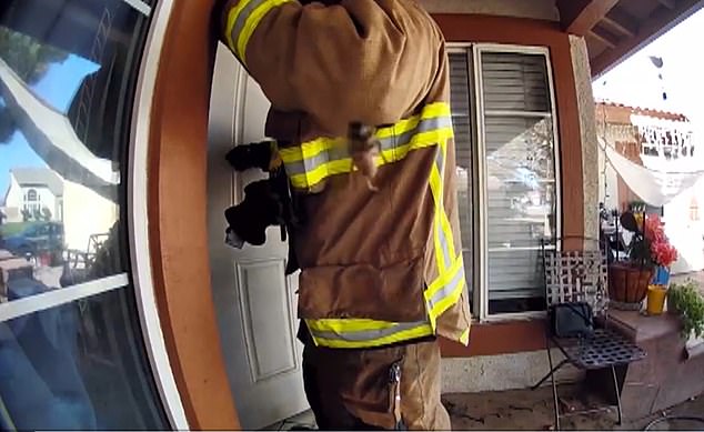 A Ring doorbell records a bee buzzing around as a firefighter comes to help Rebecka and her dogs