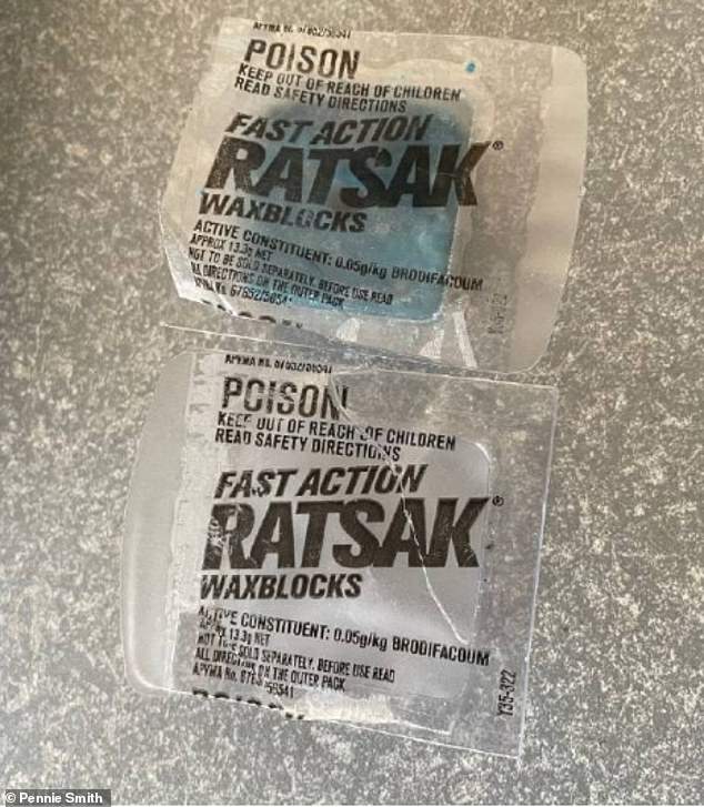 Mrs Smith said she found two bags of Ratsak in her son and his friend's treat bags, about one of which had been opened and the bait was missing (pictured)