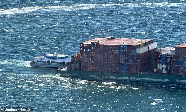 U.S. Coast Guard officials believe the ship broke free from the terminal where it was docked as high winds pushed it toward the water's edge