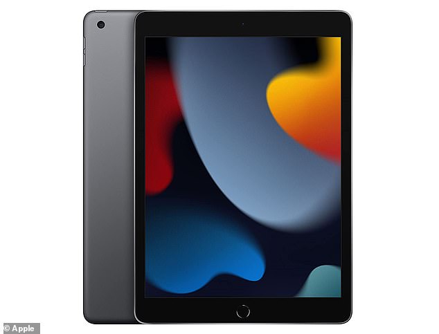 The iPad aimed to fill the gap between smartphones and laptops by offering consumers a new portable option.