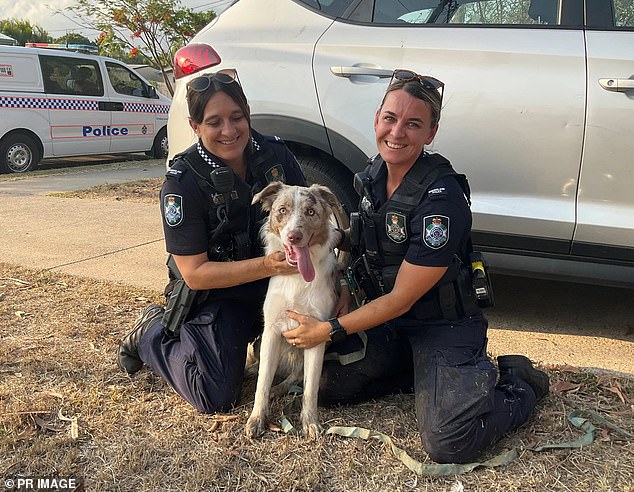 Phoenix is ​​now back with her owners after police found her at an address on Friday afternoon