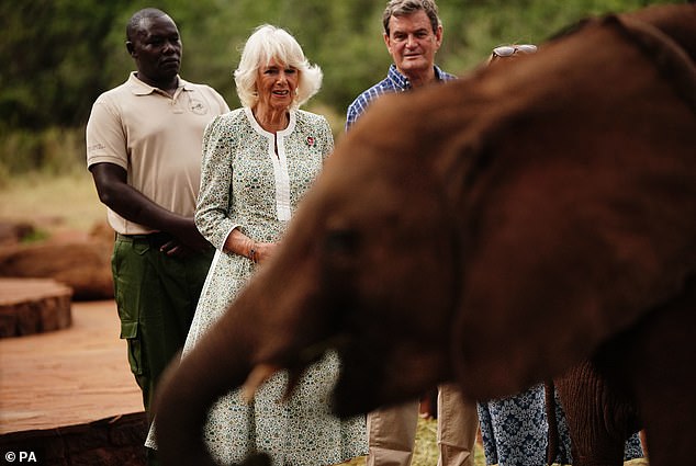 The royal family also watched the orphaned elephants as they played together and enjoyed a mud bath