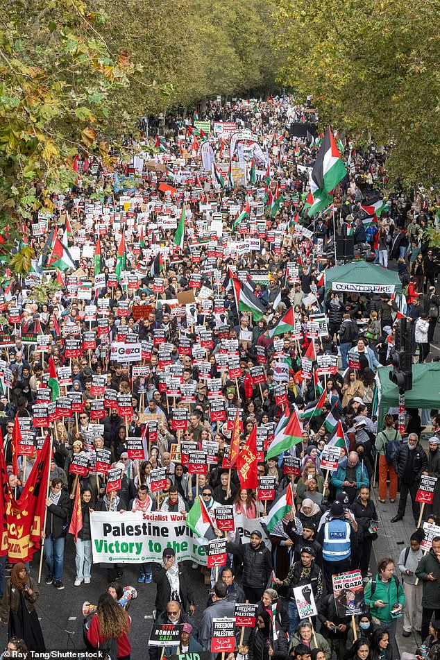 Thousands of pro-Palestinian protesters took part in a demonstration in central London last weekend