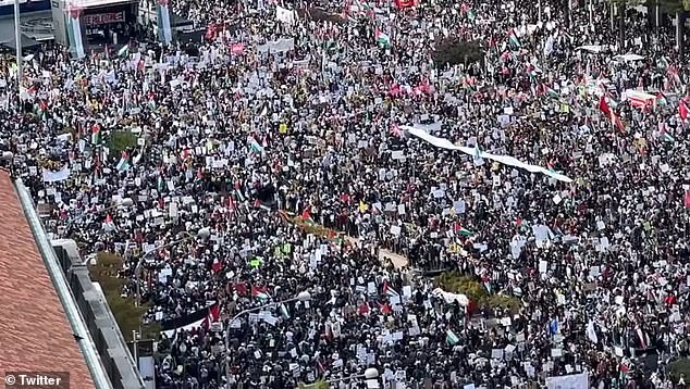 Pro-Palestinian supporters packed the streets of Washington DC as further protests were staged around the world