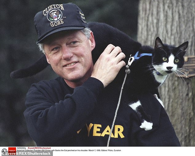 President Bill Clinton with Socks the Cat in 1995, the year before he was re-elected