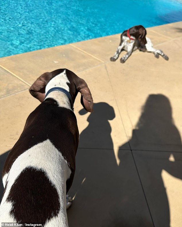 Cute: The beauty also showed off her adorable two dogs running nearby