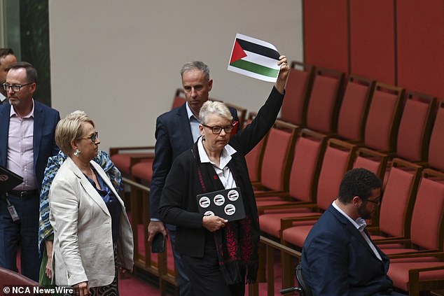 Her colleague, retiring Sen. Janet Rice, held up a printed photo of the Palestinian flag as she walked away