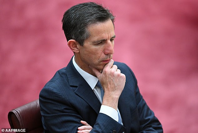 Shadow Foreign Secretary Simon Birmingham argued Australia must do more to meet demand from the Solomon Islands rather than China