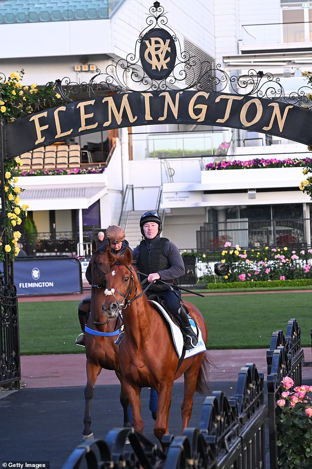 Vauban (pictured on Derby Day) is the favorite this year, but the Melbourne Cup is known for being won by unknown horses rather than highly rated competitors