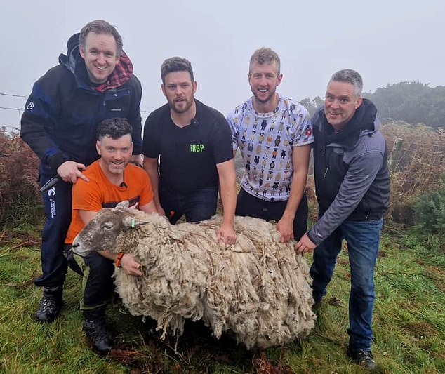 The group used a winch mounted on a truck parked at the top of the cliff, 200 meters of rope and a feed bag made into a makeshift sling to carry the sheep to safety.