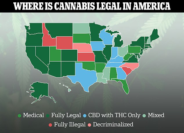 The map above shows the states that have and have not legalized cannabis for use