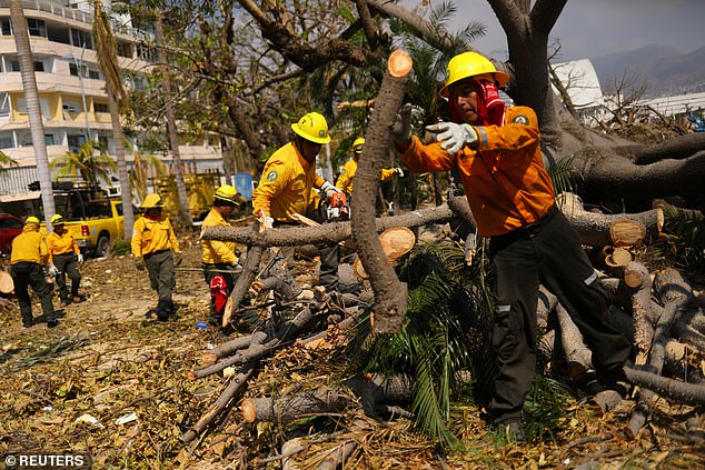 Workers from Mexico's Ministry of Environment and Natural Resources worked Sunday to remove trees damaged by Hurricane Otis in Acapulco