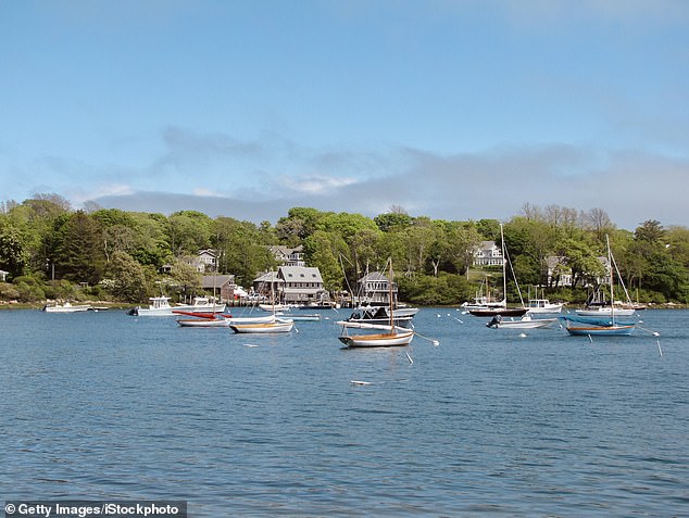 Cape Cod (pictured) saw 800 individual great white sharks in its waters between 2015 and 2018