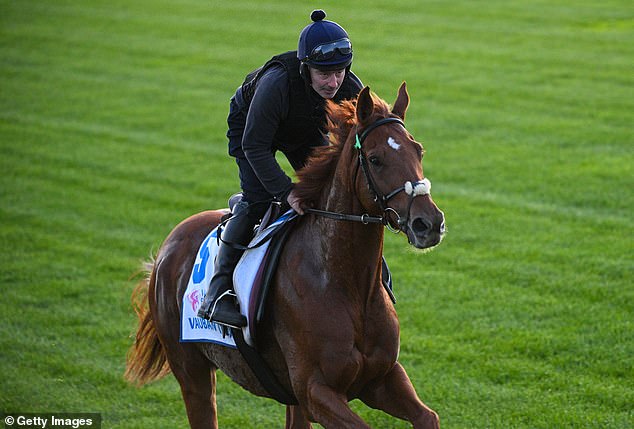 Melbourne Cup favorite Vauban finished 14th, leaving many punters looking for answers