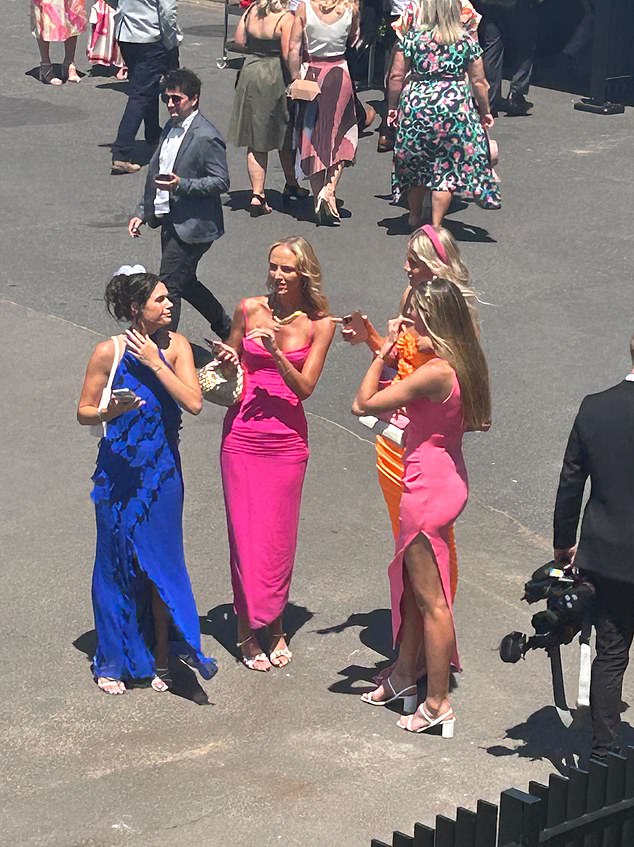 In photos taken by Daily Mail Australia, the blonde looked stylish in a bright pink, figure-hugging dress with a lace plunging neckline and corset boning