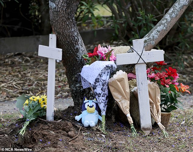 Pictured: Flowers and floral tributes for the teenage boys who died in a car accident on Monday