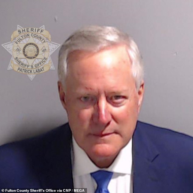 Meadows is also a defendant in a case brought by Georgia's Fulton County district attorney over allegations he tried to overturn the state's election results.