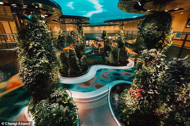 The brand new Dreamscape garden, pictured, is said to 'enchant with its enchanting array of plants'