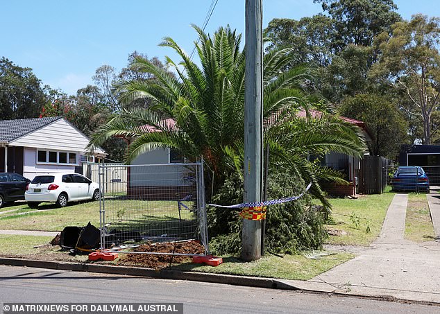 Pictured: The scene of the crash in Ashcroft, south-west Sydney, on Tuesday