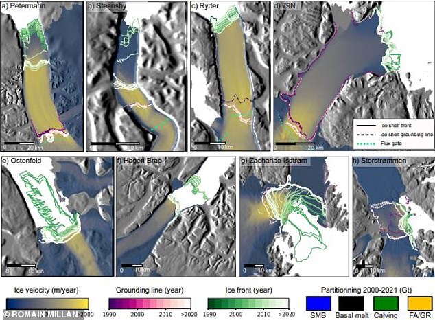 The graph shows how the front of the glaciers on the eight ice shelves retreated over time.  The darker green lines show the extent of ice in the 1990s while the whiter lines show more recent extents